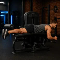 Lying Leg Curl